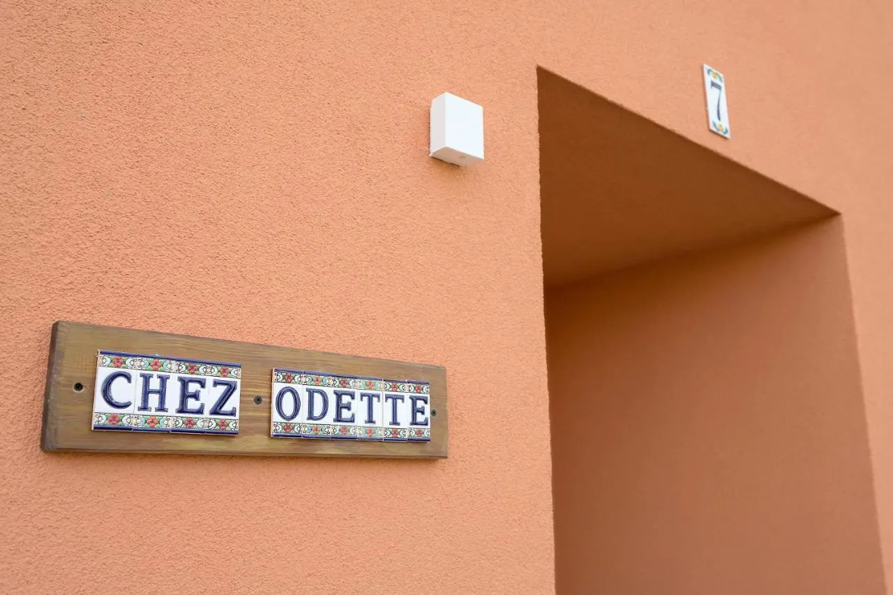 Chez Odette - Spa, Plancha, Parking Albi